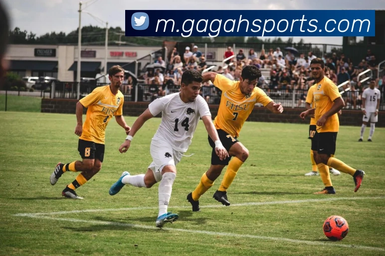 体育下注品牌故事